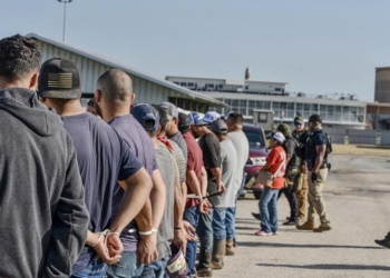 New Harvard Poll Reveals How Many Americans Want All Illegal Migrants Sent Home