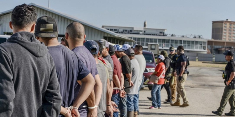 New Harvard Poll Reveals How Many Americans Want All Illegal Migrants Sent Home