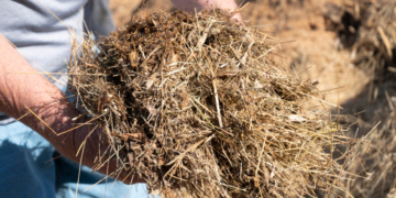 Oklahoma Advances Bill To Turn Dead Humans Into Actual Fertilizer