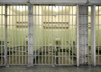 Arkansas Man Gets 96-Year Sentence for Child Sex Abuse, Sex Extortion, and Bestiality