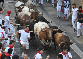 ‘Street of Hell’ Tragedy: Father Killed in Brutal Bull Attack