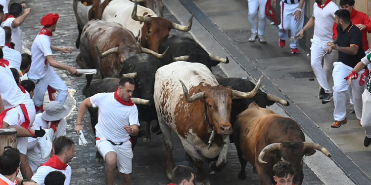 ‘Street of Hell’ Tragedy: Father Killed in Brutal Bull Attack