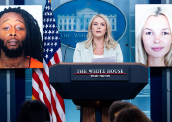 Iryna Zarutska Case Paused as Suspect Ruled Unfit for Trial