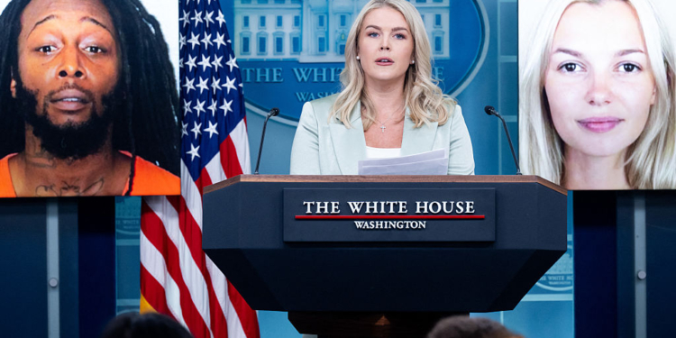 Iryna Zarutska Case Paused as Suspect Ruled Unfit for Trial