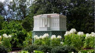 WH Abuzz About Melania Trump Beehive Expansion