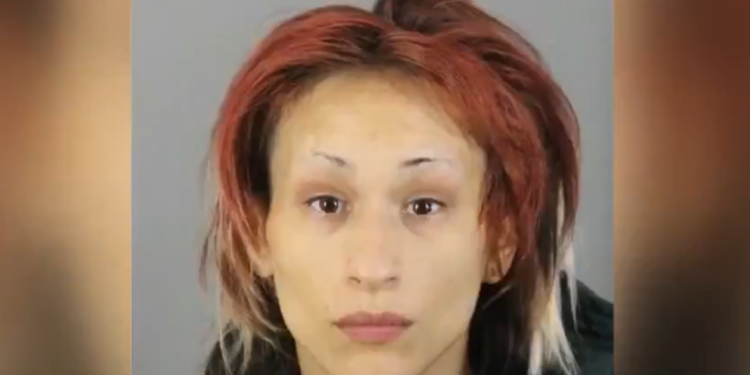 Woman Charged After Allegedly Stabbing Boyfriend to Death During Argument Over Dinner Plans