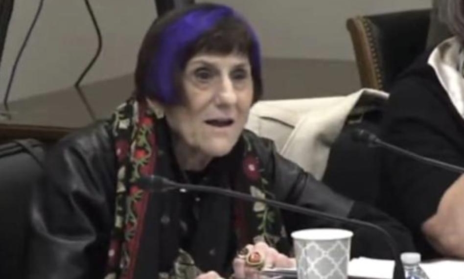 Democrat Lashes Out When Her Ignorance Is Put On Display