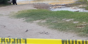 GRAPHIC: Mexican Border State Sees Dramatic Drop in Migrant Drownings Since Start of Trump Administration