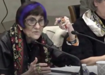 Lee Zeldin Infuriates Purple-Haired Democrat While He Schools Her On Basic Supreme Court Cases