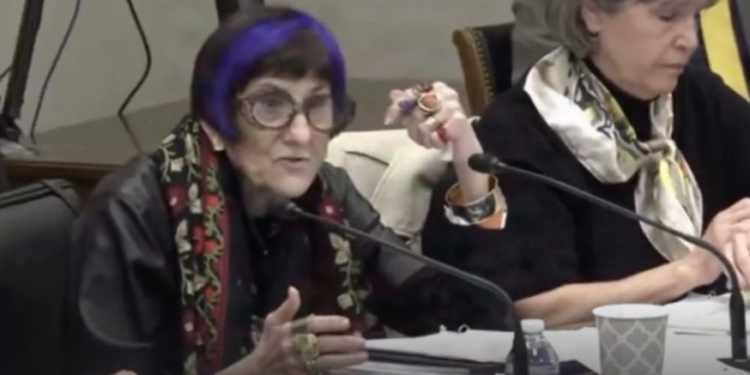 Lee Zeldin Infuriates Purple-Haired Democrat While He Schools Her On Basic Supreme Court Cases