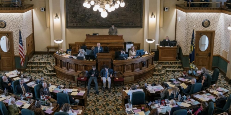 Luna Announces Another Senator Under Review