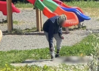 Migrant Arrested For Cooking Cat In Public Space