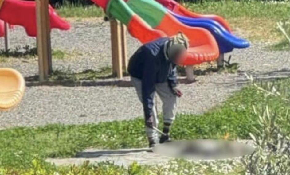 Migrant Arrested For Cooking Cat In Public Space