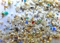 Trump Admin Declares War On Microplastics In Drinking Water