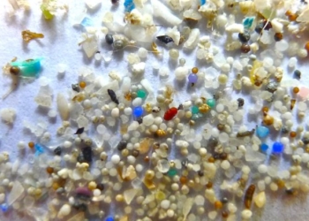 Trump Admin Declares War On Microplastics In Drinking Water