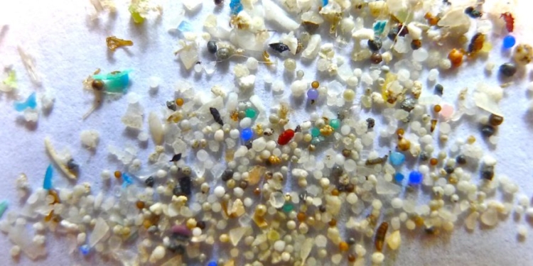 Trump Admin Declares War On Microplastics In Drinking Water