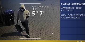 Trump DOJ Hits DC Pipe Bomb Suspect With Terror Charges