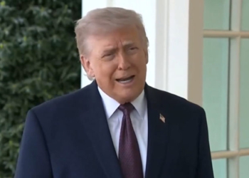 Trump Signals Leveraging Beloved Deep State Spy Tool For SAVE America Act