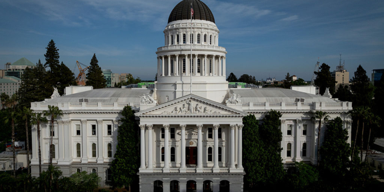 Dreams Dashed: The California Gubernatorial Race in a Nutshell