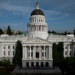 Dreams Dashed: The California Gubernatorial Race in a Nutshell