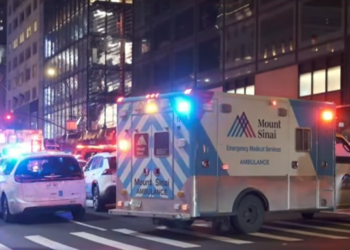 Woman Killed After Falling Into Open Midtown Manhole Identified as Westchester Mom