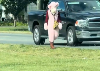Pink-Clad Creep Accused of Attempting to Abduct Virginia School Kids