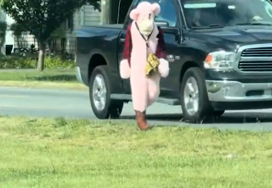 Pink-Clad Creep Accused of Attempting to Abduct Virginia School Kids