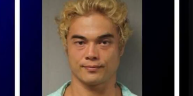 Hawaii Man Arrested After Three Bodies Found in Two Days