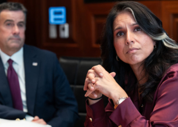 CIA Spooks Spied On Tulsi Gabbard’s Team As It Probed Deep State, Whistleblower Alleges