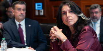 CIA Spooks Spied On Tulsi Gabbard’s Team As It Probed Deep State, Whistleblower Alleges