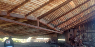 Search Collective in Mexico Finds More Clandestine Crematorium Sites near Texas Border