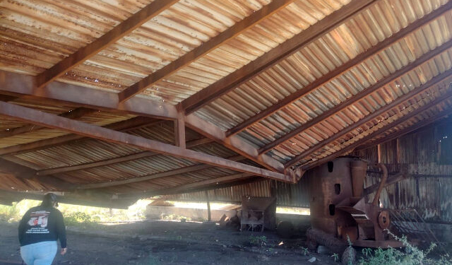 Search Collective in Mexico Finds More Clandestine Crematorium Sites near Texas Border