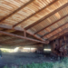 Search Collective in Mexico Finds More Clandestine Crematorium Sites near Texas Border