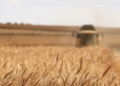 STEVE MILLOY: Roundup The Junk Science To Save Glyphosate