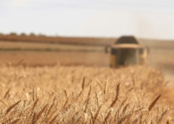 STEVE MILLOY: Roundup The Junk Science To Save Glyphosate