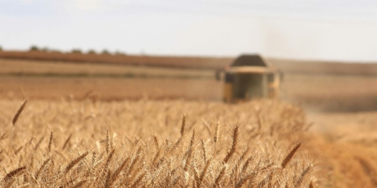 STEVE MILLOY: Roundup The Junk Science To Save Glyphosate