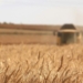 STEVE MILLOY: Roundup The Junk Science To Save Glyphosate