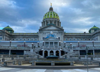 Swing-State Dem Cooking Up Crazy Checkerboard Of Booby-Traps For Gun Owners