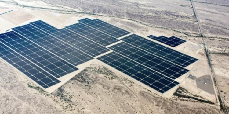 The Environmental Toll Of Obama-Era ‘Clean Energy’