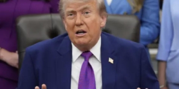 Trump Admin Contemplates Tax Cut