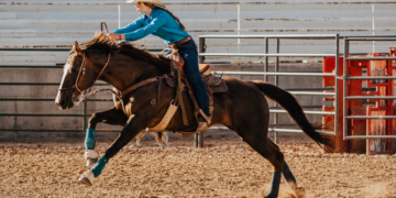Teen Competitor Arrested After Three Horses Stabbed at Major Nevada Event