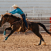 Teen Competitor Arrested After Three Horses Stabbed at Major Nevada Event