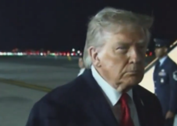 Trump Fires Back After Stephen A. Smith Blames Him for Knicks Loss