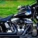 Harley-Davidson Backsliding On Wokeness Despite Previous Policy Reversal