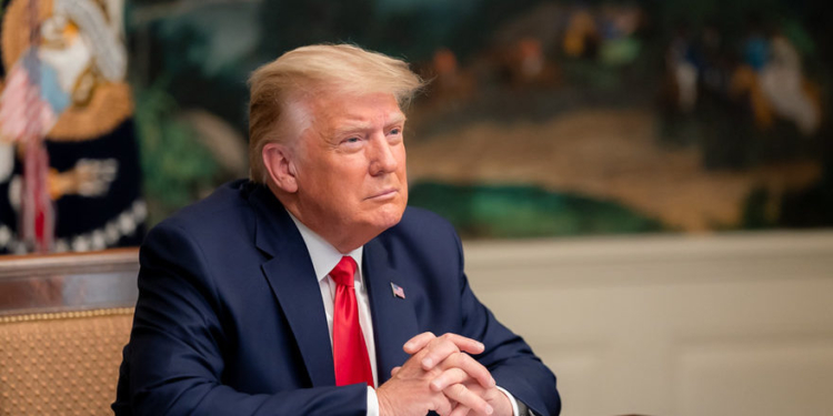 How Trump Admin’s Psychedelic Drug Research Push Could Shake Up US Mental Healthcare System