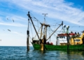 It’s Time For Washington To Put American Fisheries First